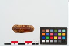 Foto von Bersteinringperle (NHMW-PRAE-024962)